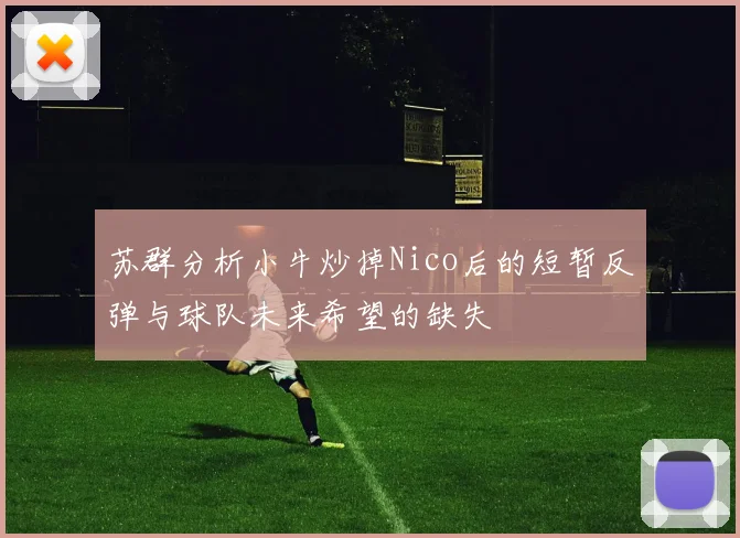 苏群分析小牛炒掉Nico后的短暂反弹与球队未来希望的缺失
